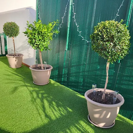 Maravillas De Tenerife Appartement *