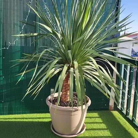 Maravillas De Tenerife Lejlighed Abades (Tenerife)